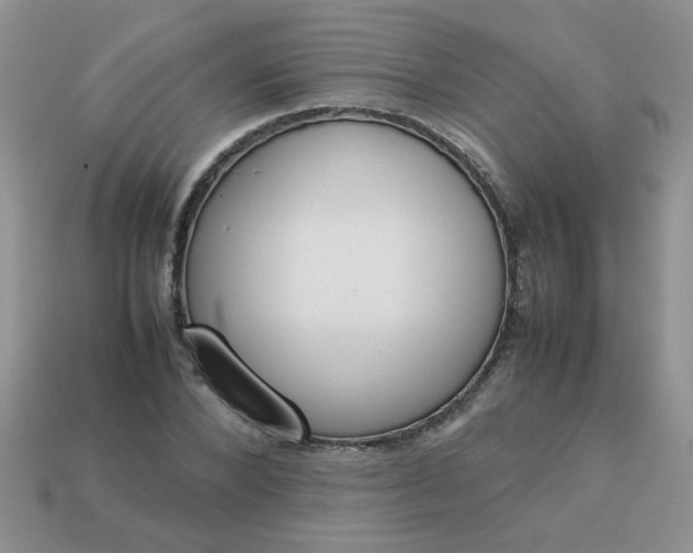 X0000113030880200909101856