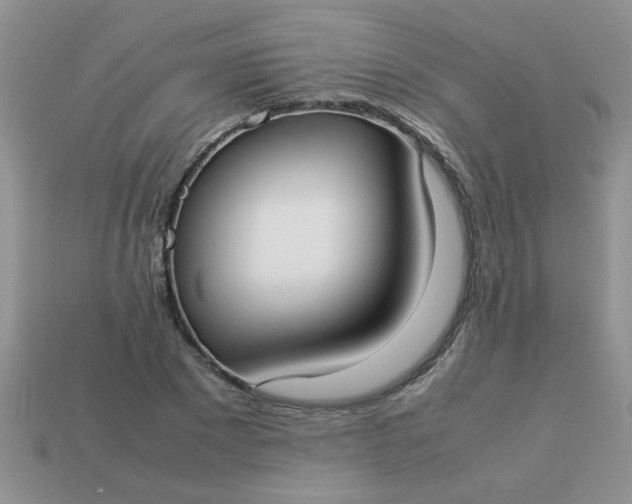 X0000113030881200909101856