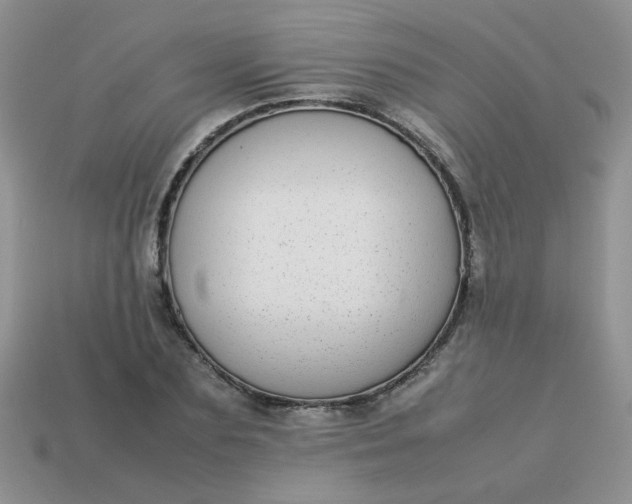 X0000113030883200909101856