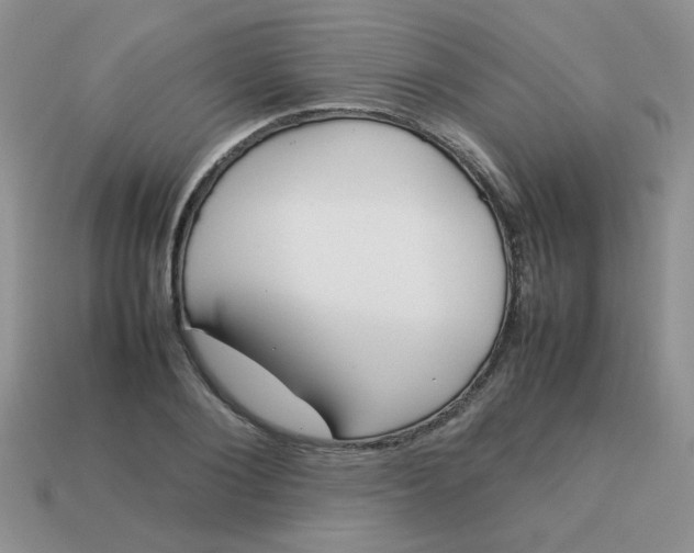 X0000113030884200909101856