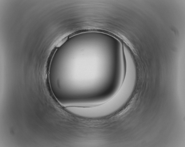 X0000113030885200909101856