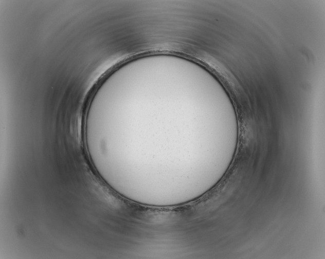 X0000113030886200909101856