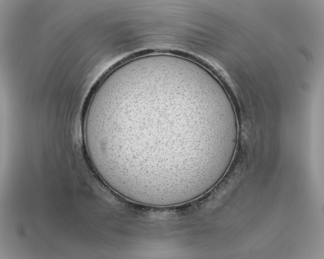 X0000113030887200909101856