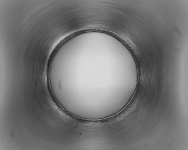 X0000113030888200909101856