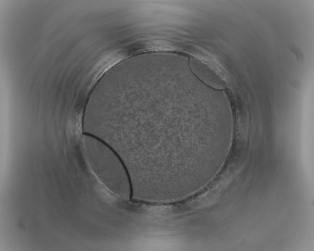 X0000113030889200909101856