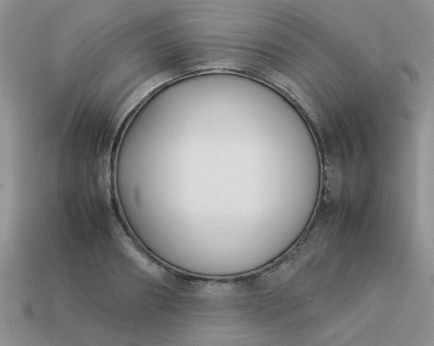 X0000113030890200909101856