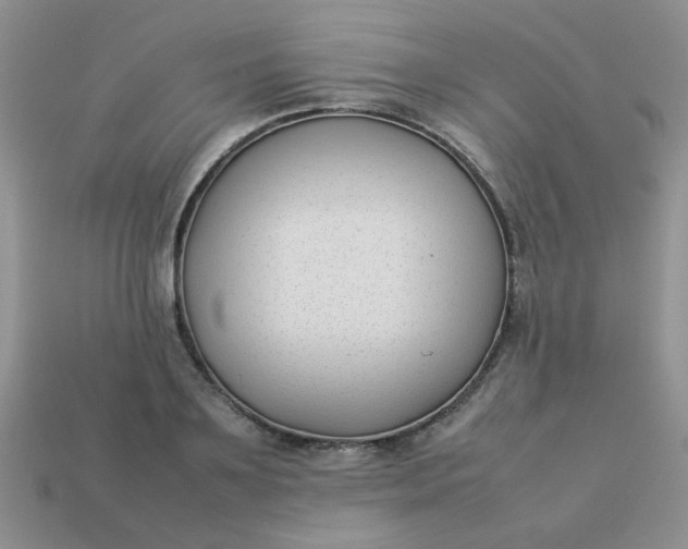 X0000113030891200909101855