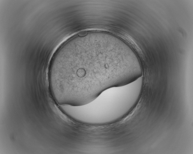 X0000113030892200909101855