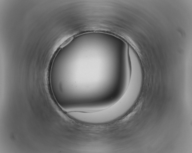 X0000113030893200909101855