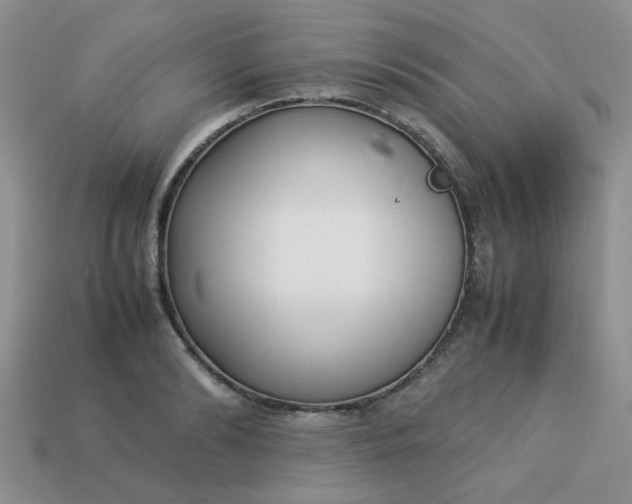 X0000113030894200909101855