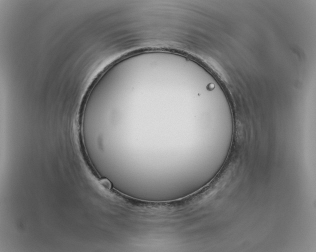 X0000113030895200909101855