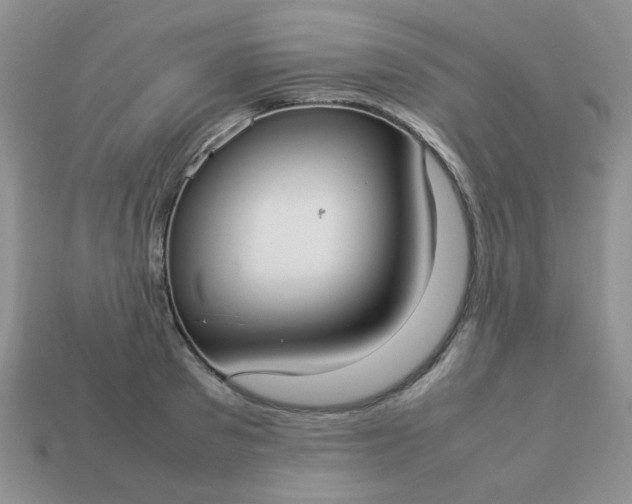 X0000113030897200909101855