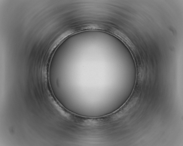 X0000113030898200909101855