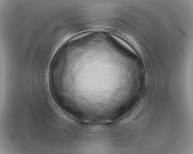 X0000113030899200909101855