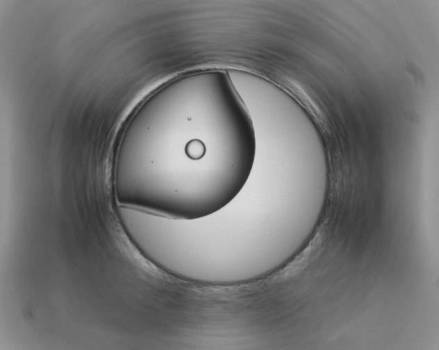 X0000113030900200909101855