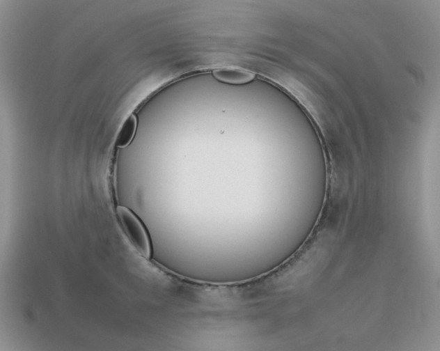 X0000113030901200909101855