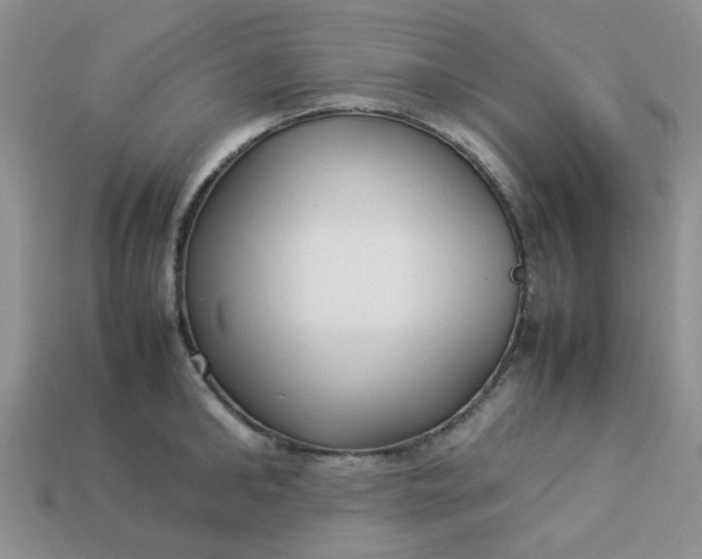 X0000113030902200909101855