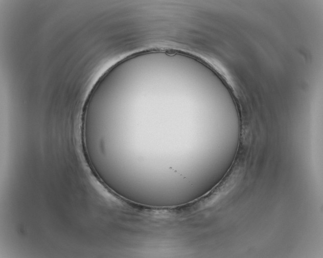 X0000113030903200909101855