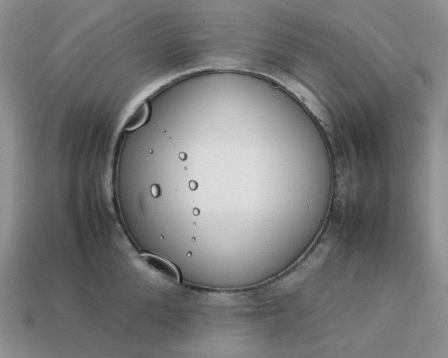 X0000113030904200909101855