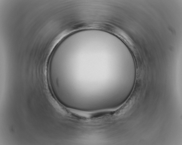 X0000113030907200909101855