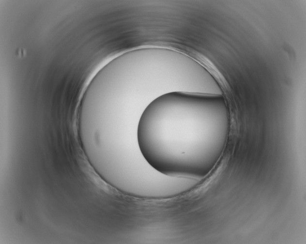 X0000113030908200909101855