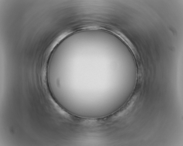 X0000113030909200909101855