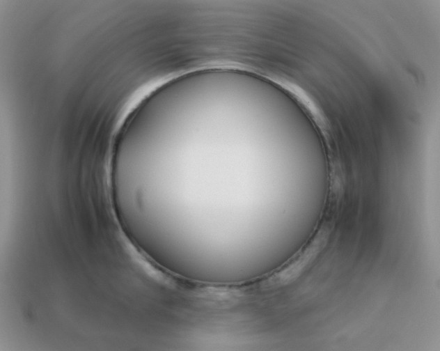 X0000113030910200909101855