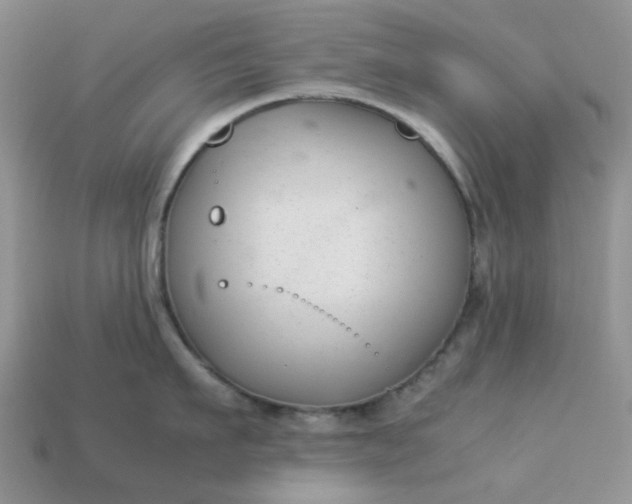 X0000113030911200909101855