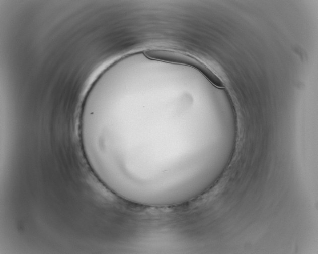 X0000113030912200909101855