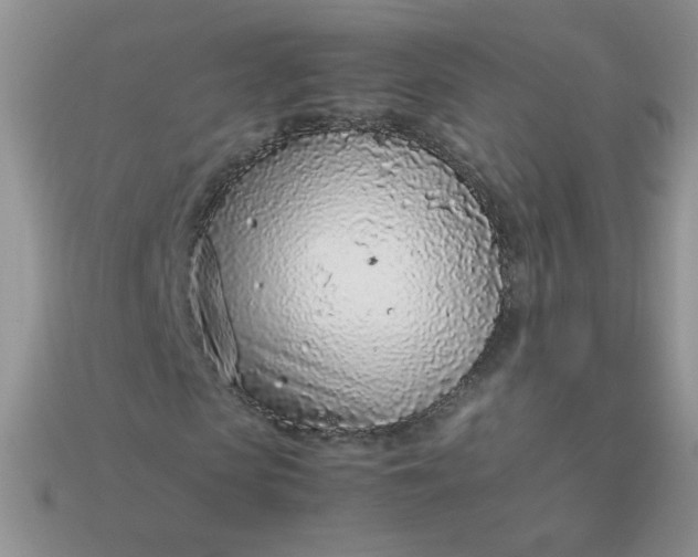 X0000113030913200909101855