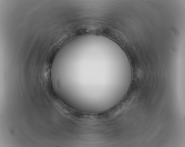 X0000113030914200909101855