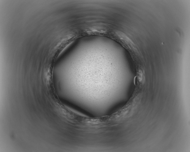 X0000113030915200909101855