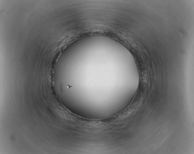 X0000113030916200909101855