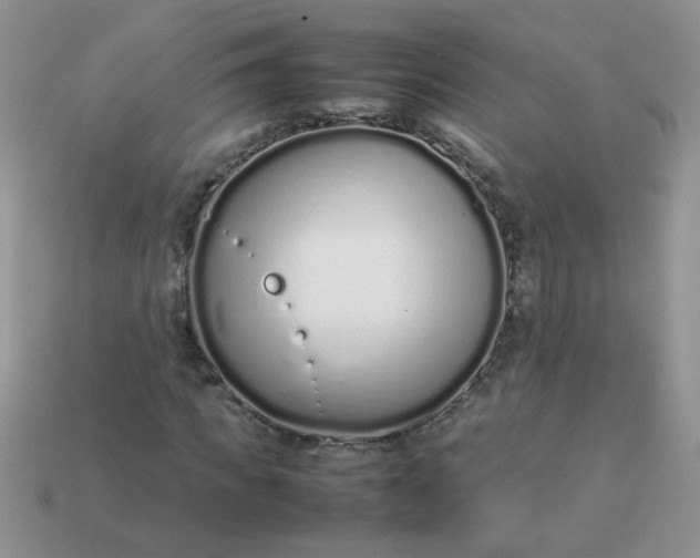 X0000113030917200909101855