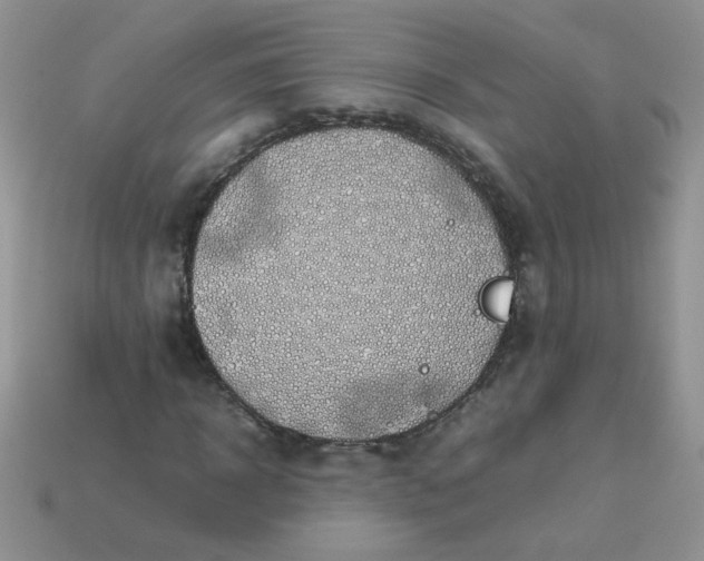 X0000113030918200909101855