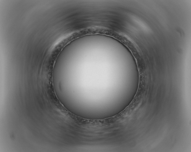 X0000113030919200909101855