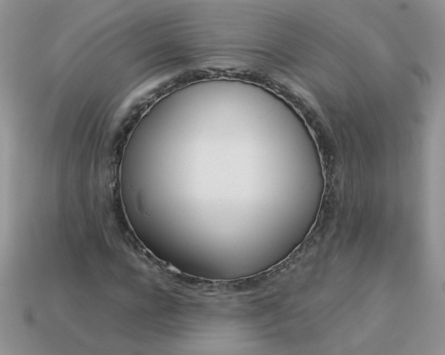 X0000113030920200909101855