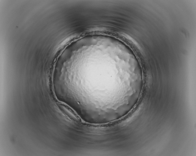 X0000113030921200909101855