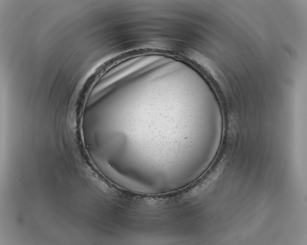 X0000113030923200909101855