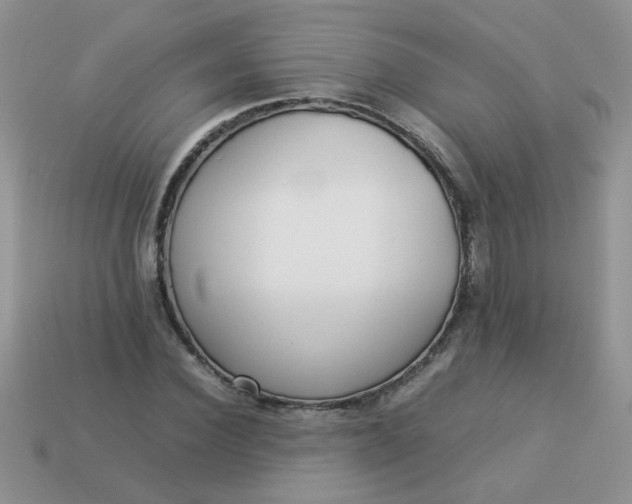 X0000113030924200909101855