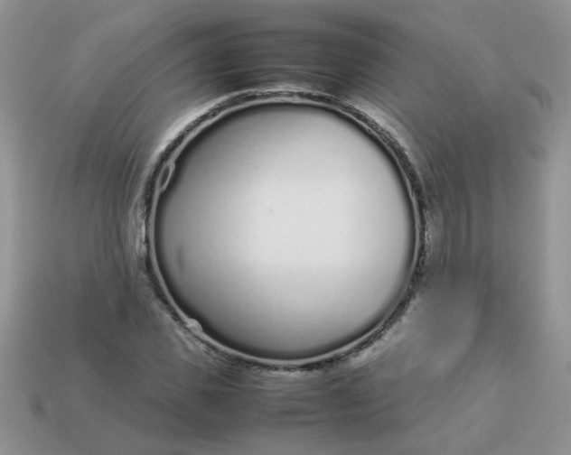 X0000113030925200909101855