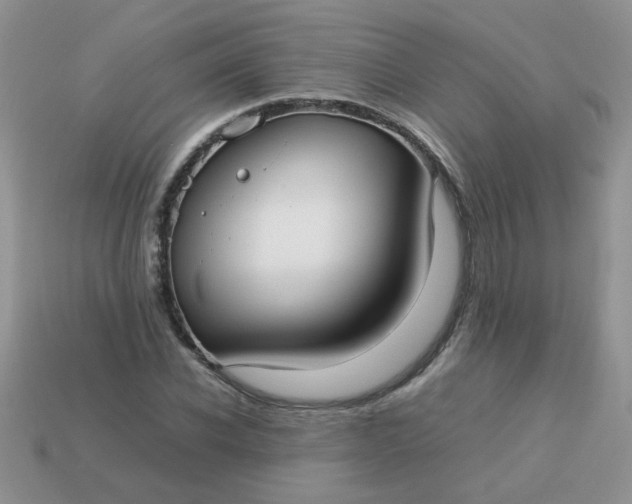 X0000113030926200909101855