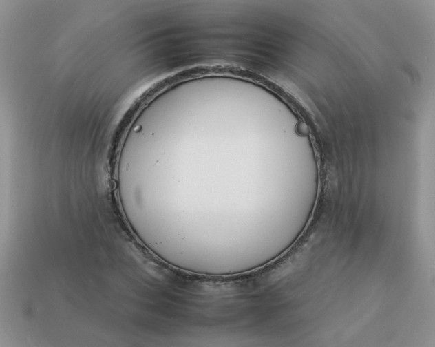 X0000113030927200909101855