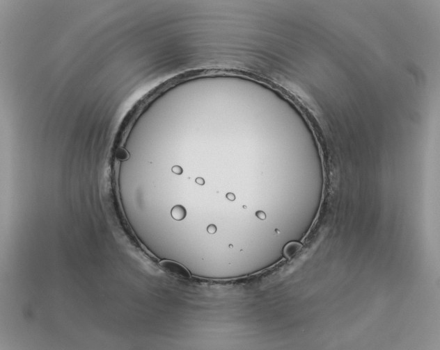 X0000113030928200909101855