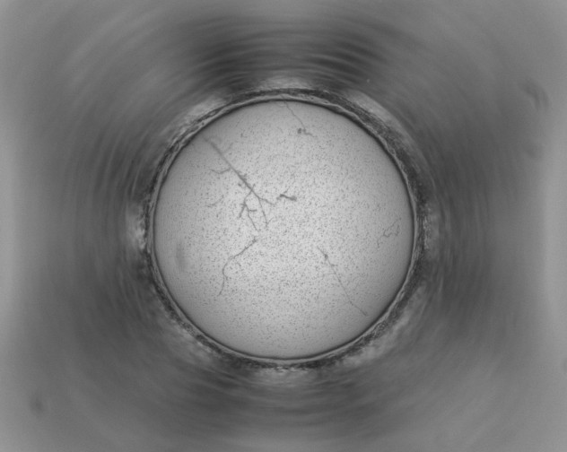 X0000113030929200909101855