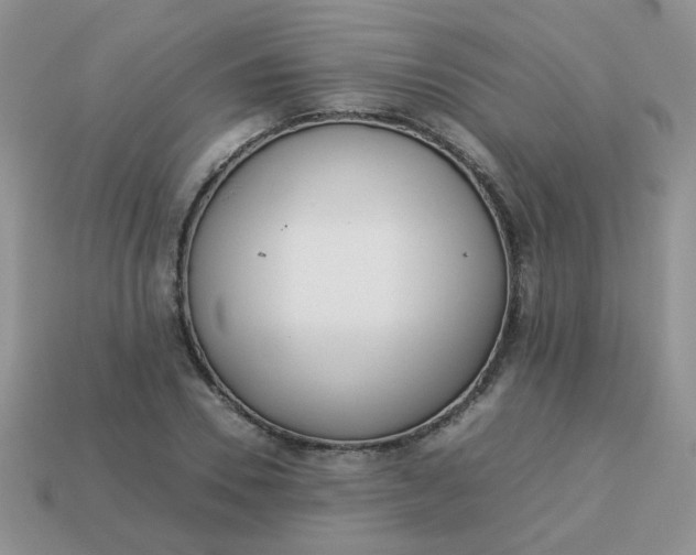 X0000113030930200909101855