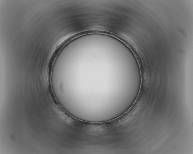 X0000113030931200909101855