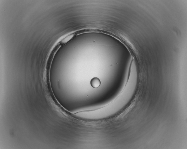 X0000113030932200909101855