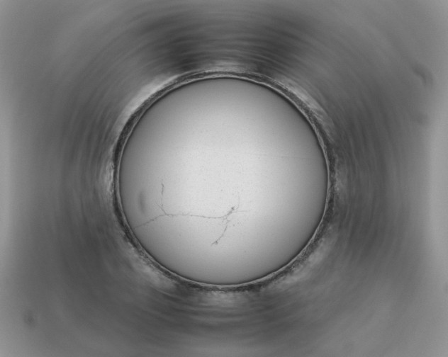 X0000113030933200909101855