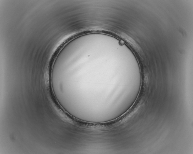 X0000113030934200909101855